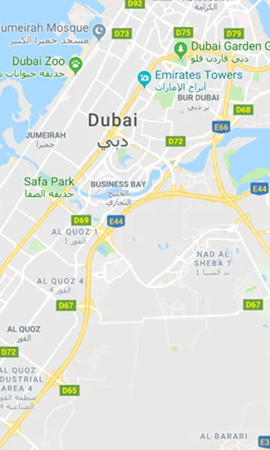 google map